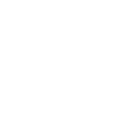 American Apparel Logo